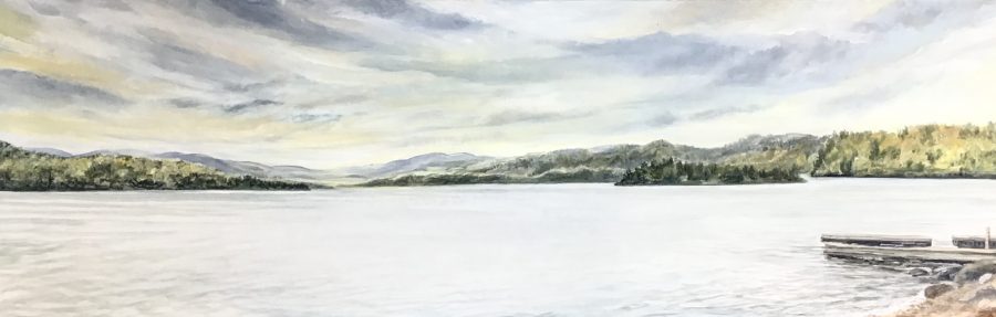 Sunny hill resort overlooking Bark lake